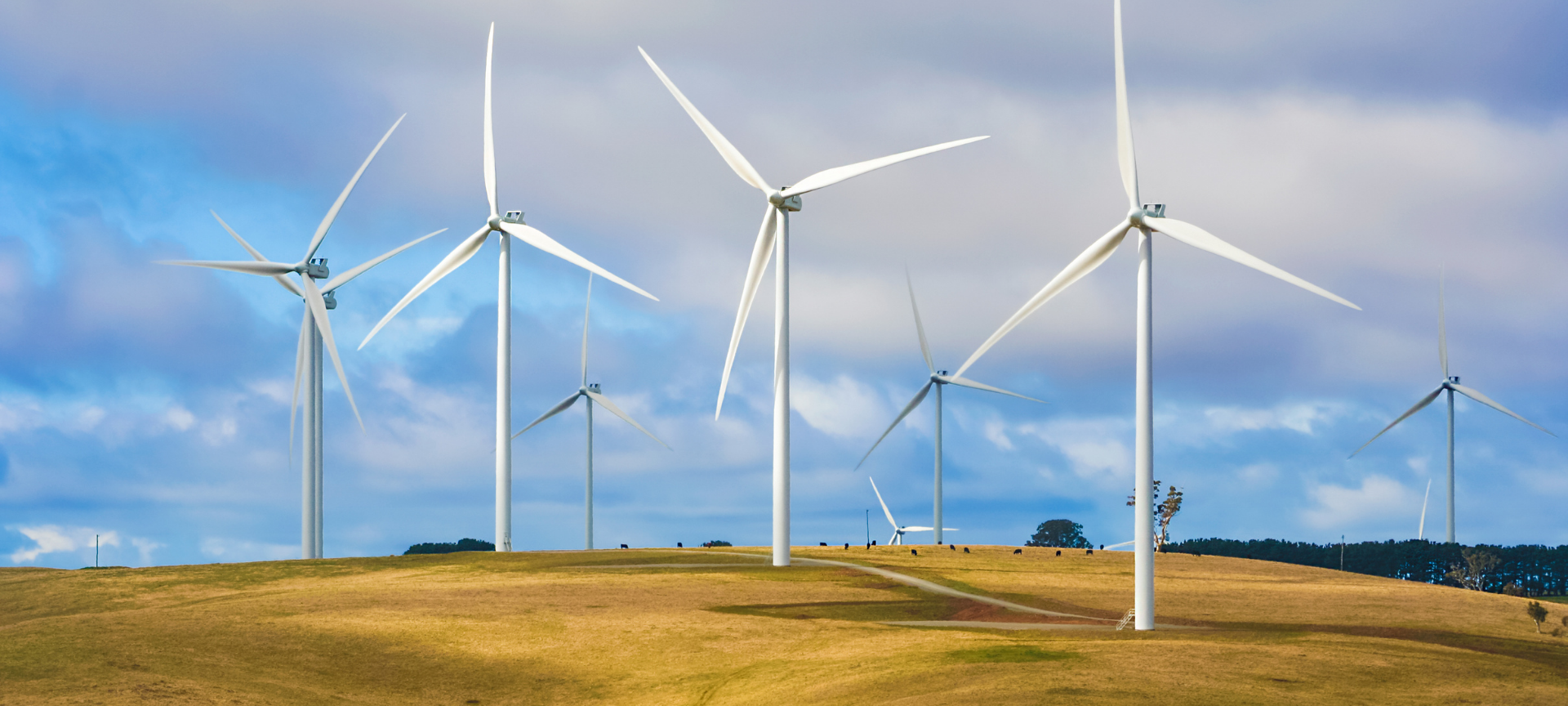 Cockburnspath & Cove Community Activity Fuelled By Kinegar Wind Farm Community Fund