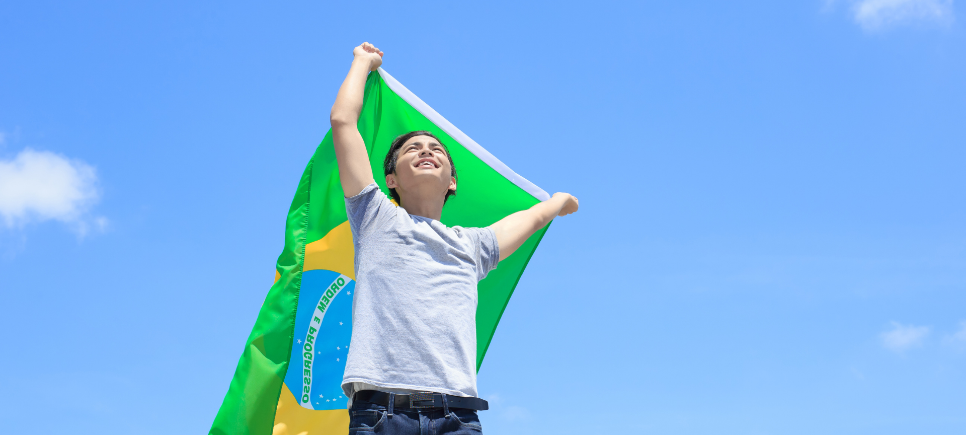 child waving Brazilian flag