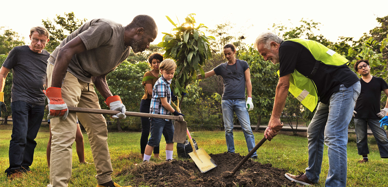 community gardening