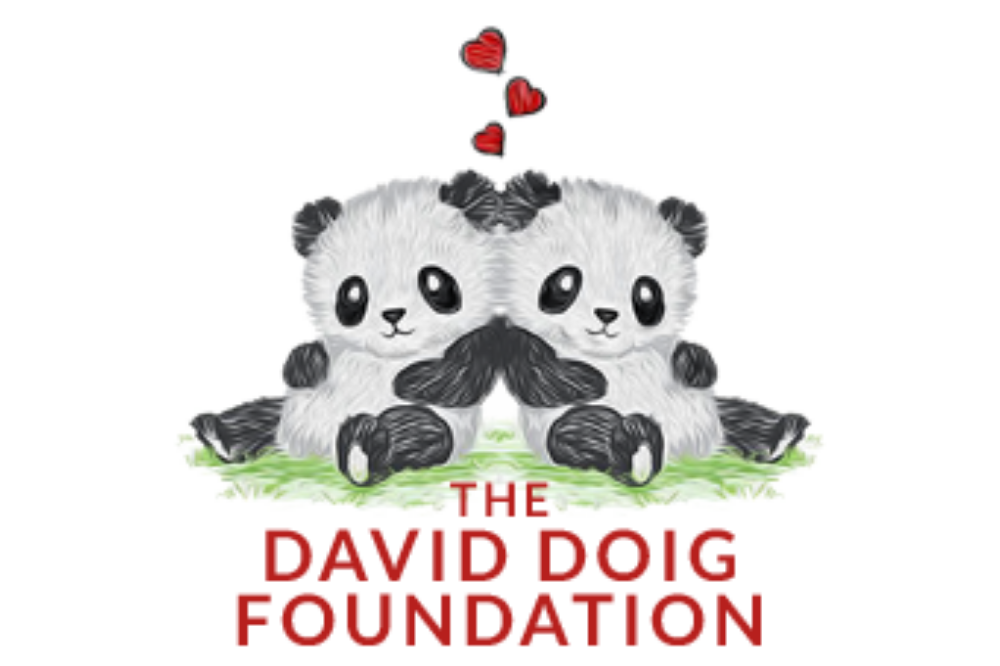 david doig foundation logo