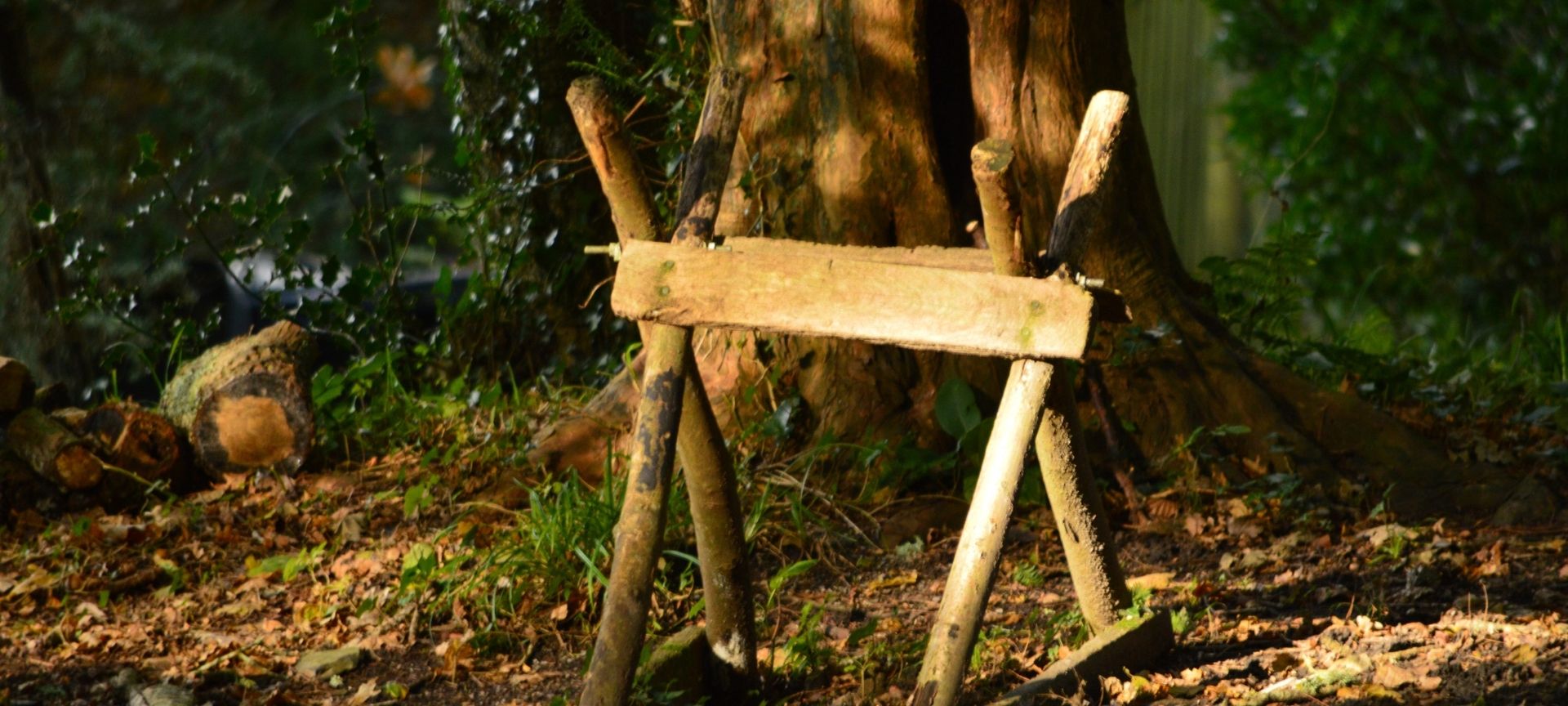 Growing Local Skills to Sustain a Community Woodland