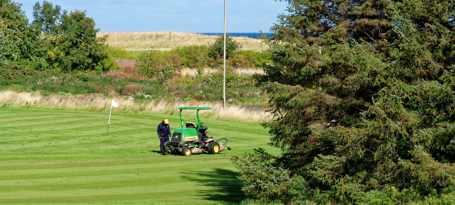 golf green and tractor