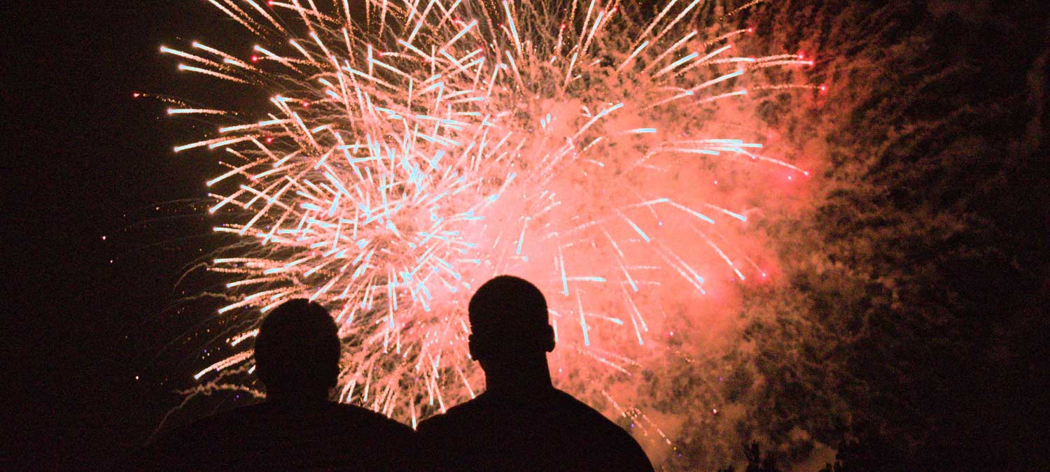 people watching fireworks