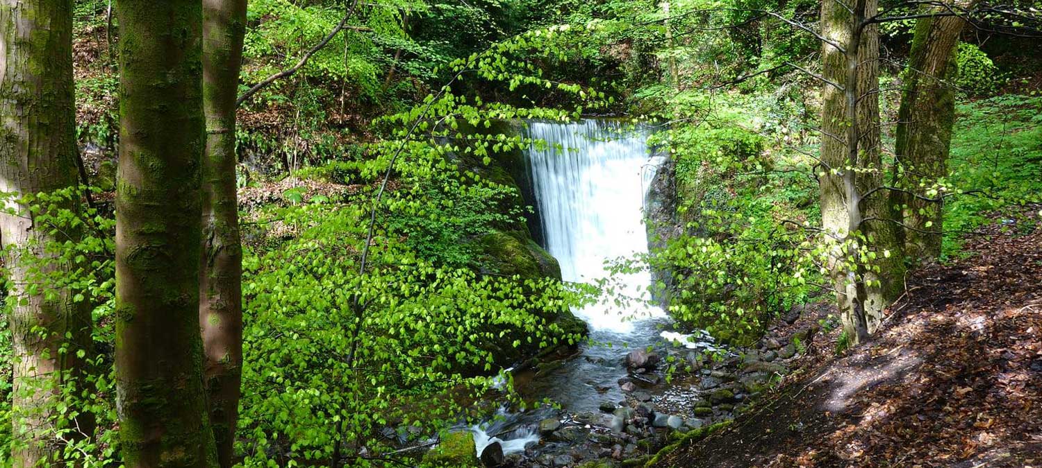 Image of Alva Glen Waterfall © Colin Baxter