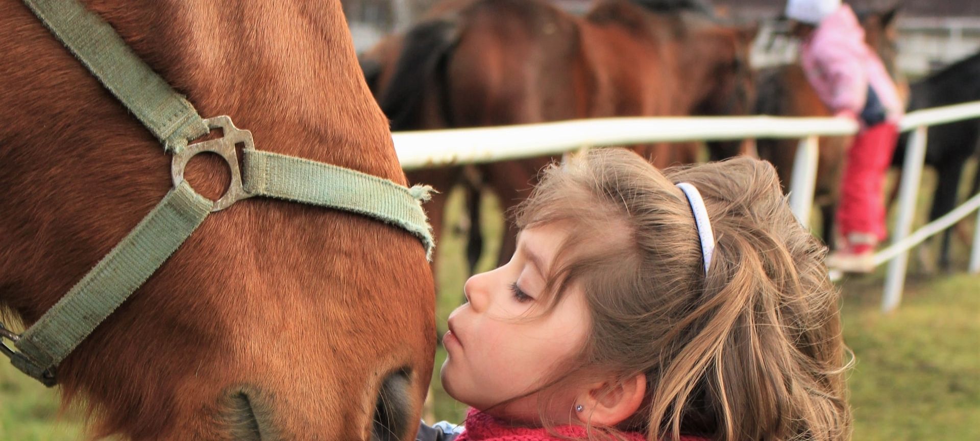 Mossburn Community Farm – Learning with Horses 