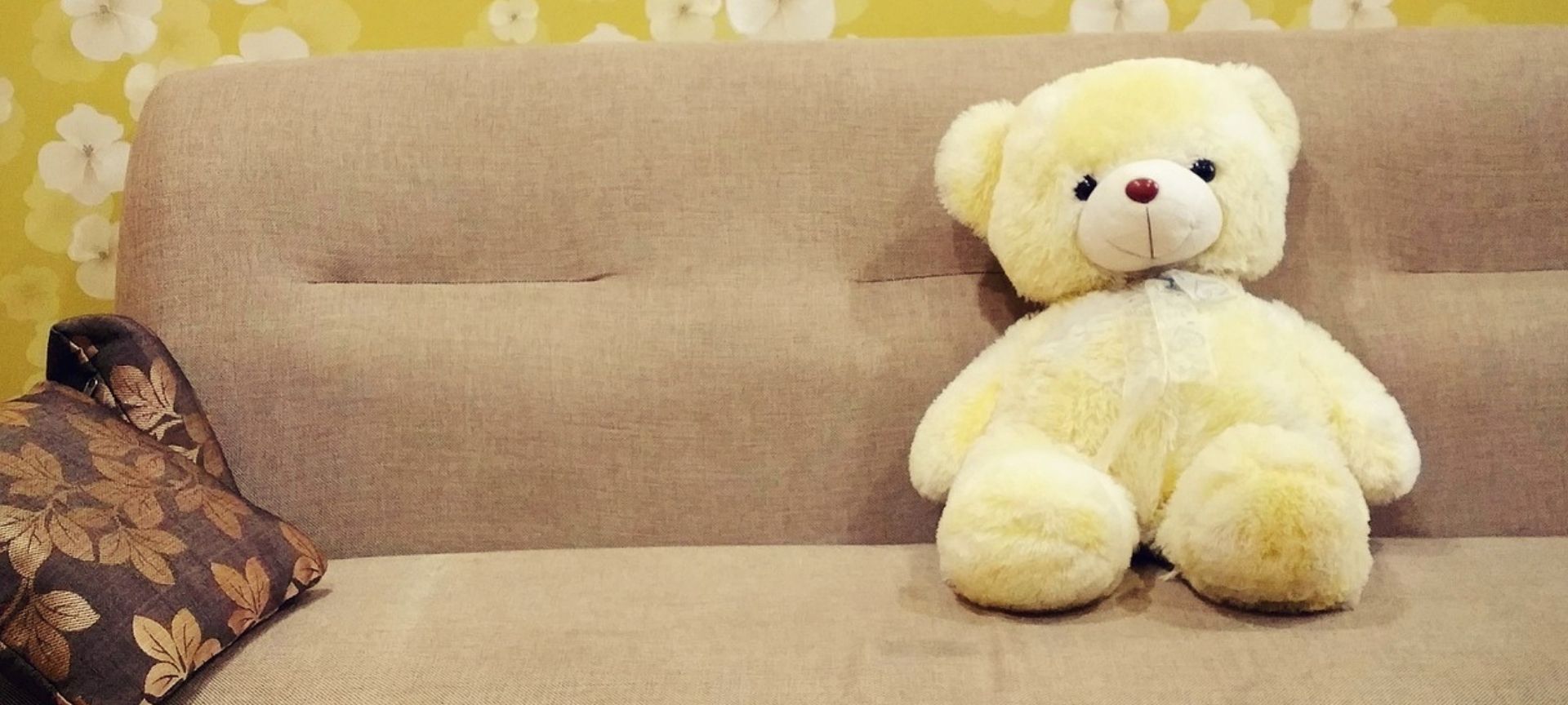 Sofa with teddy and cushion