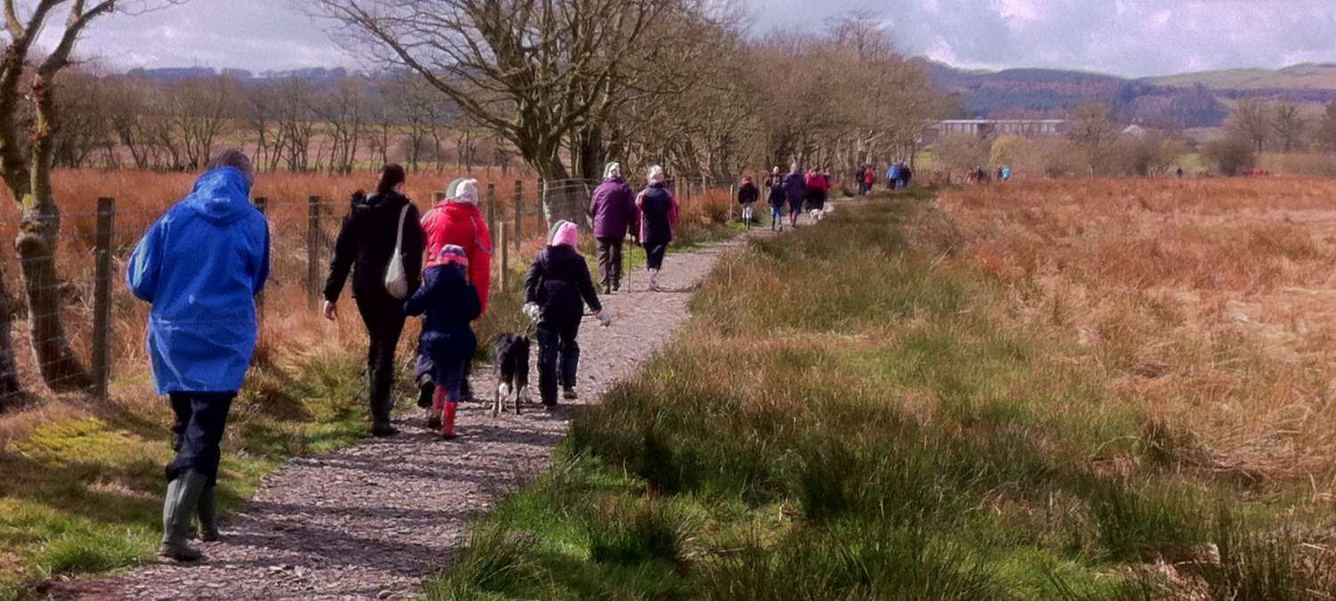 A group of people of different ages and genders walking away from the camera in the Scottish countryside in autumn.