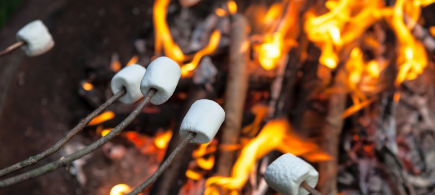 A collection of marshmellows on sticks being roasted over an open fire