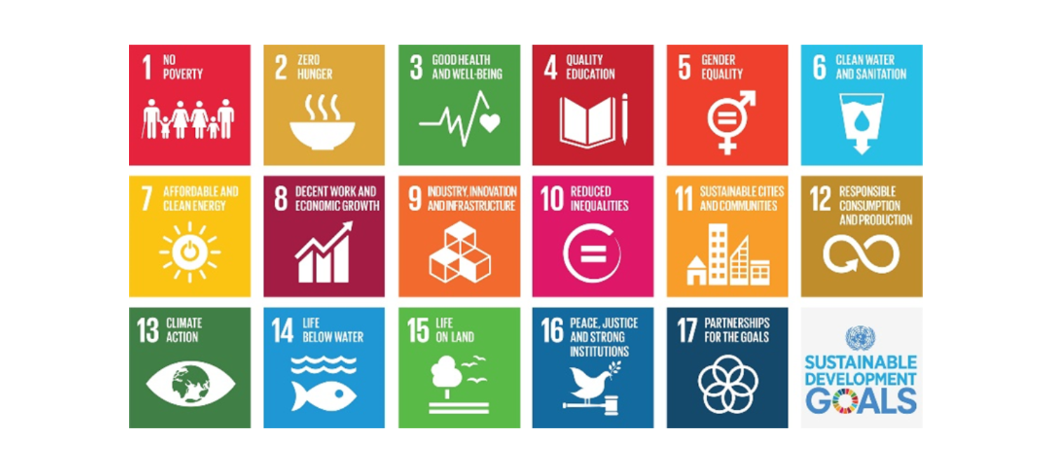 Linking the SDGs with our work