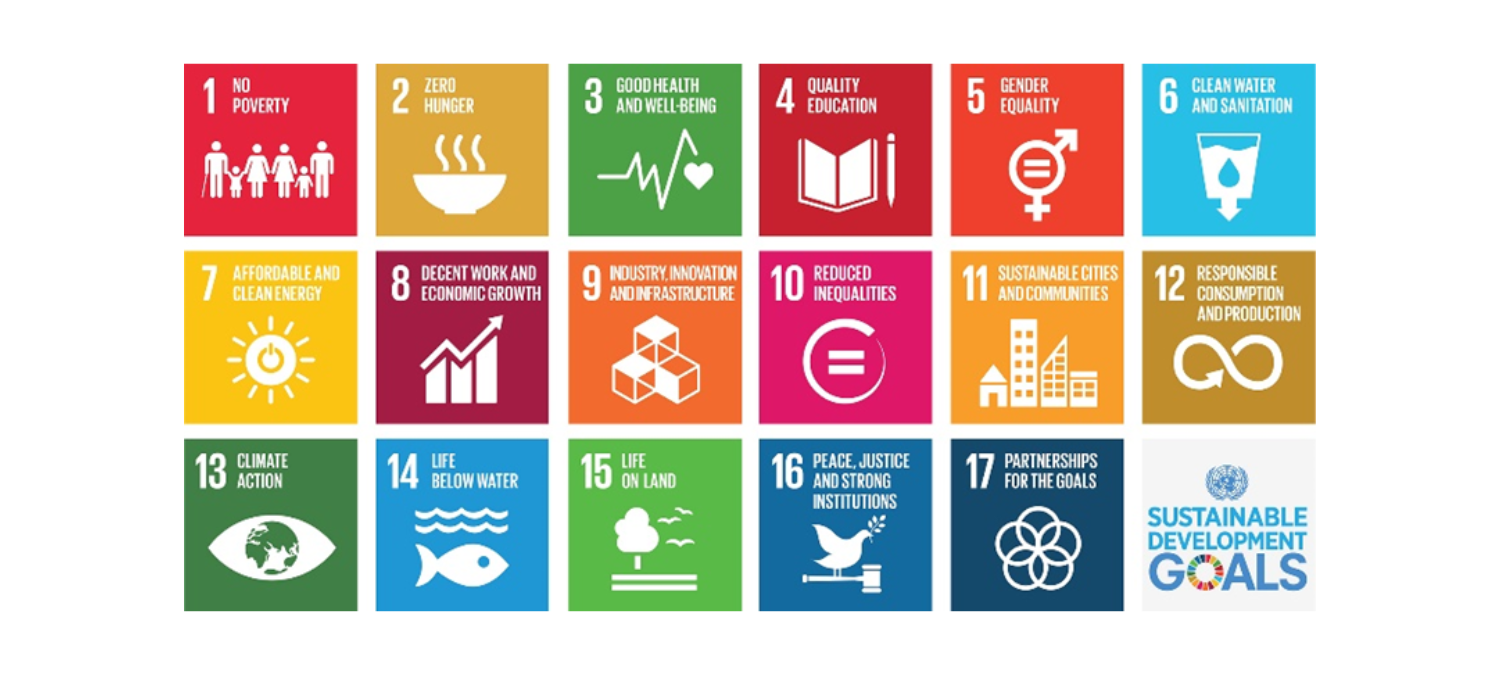 The United Nations Sustainable Development Goals icons