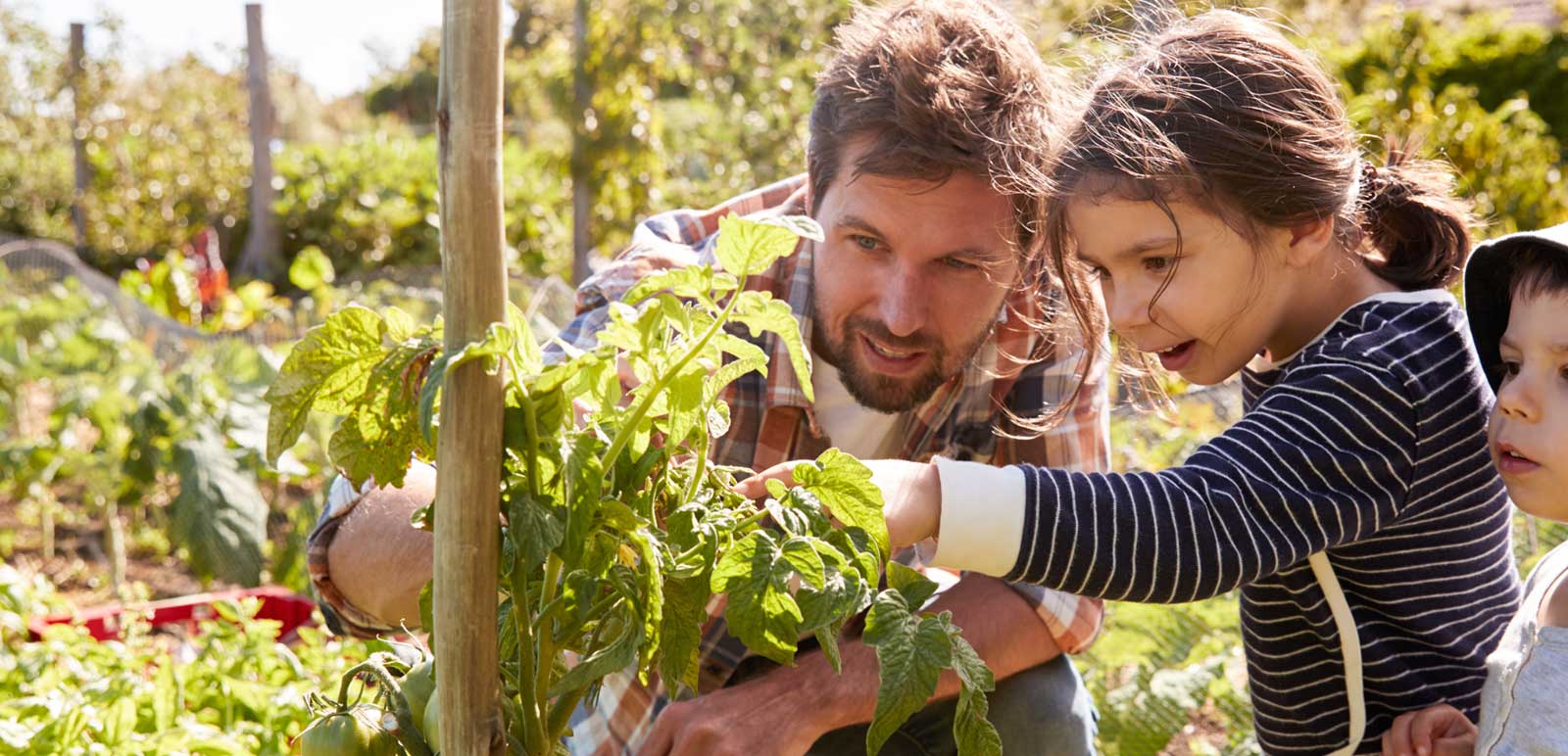 family growing plants together