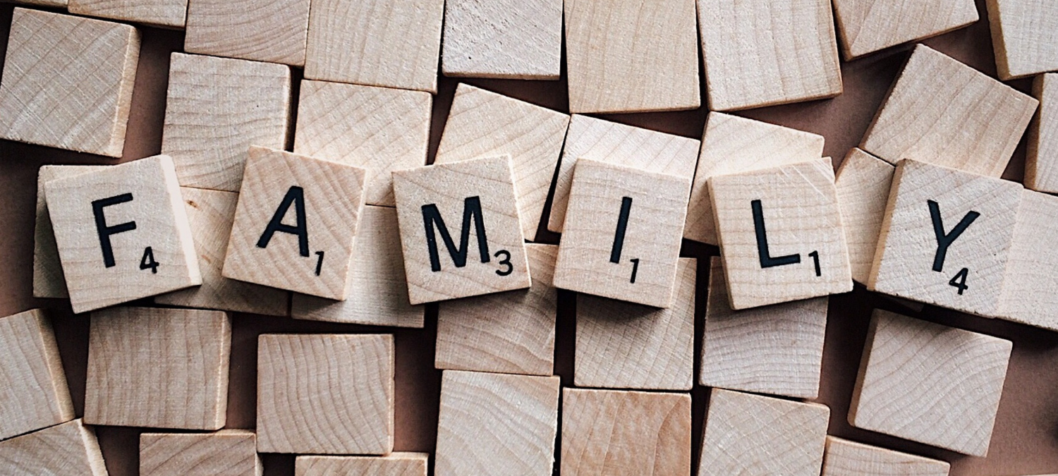 The word family spelt out in letter blocks
