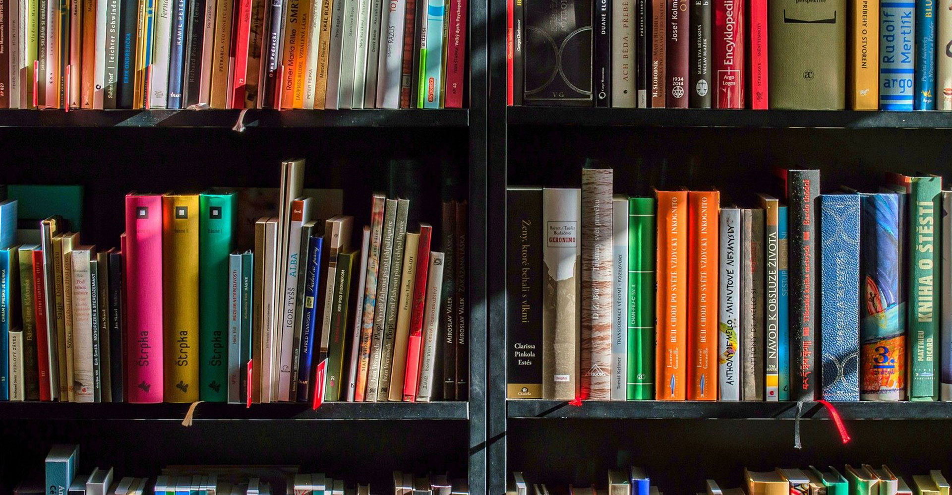 photo of a library shelf