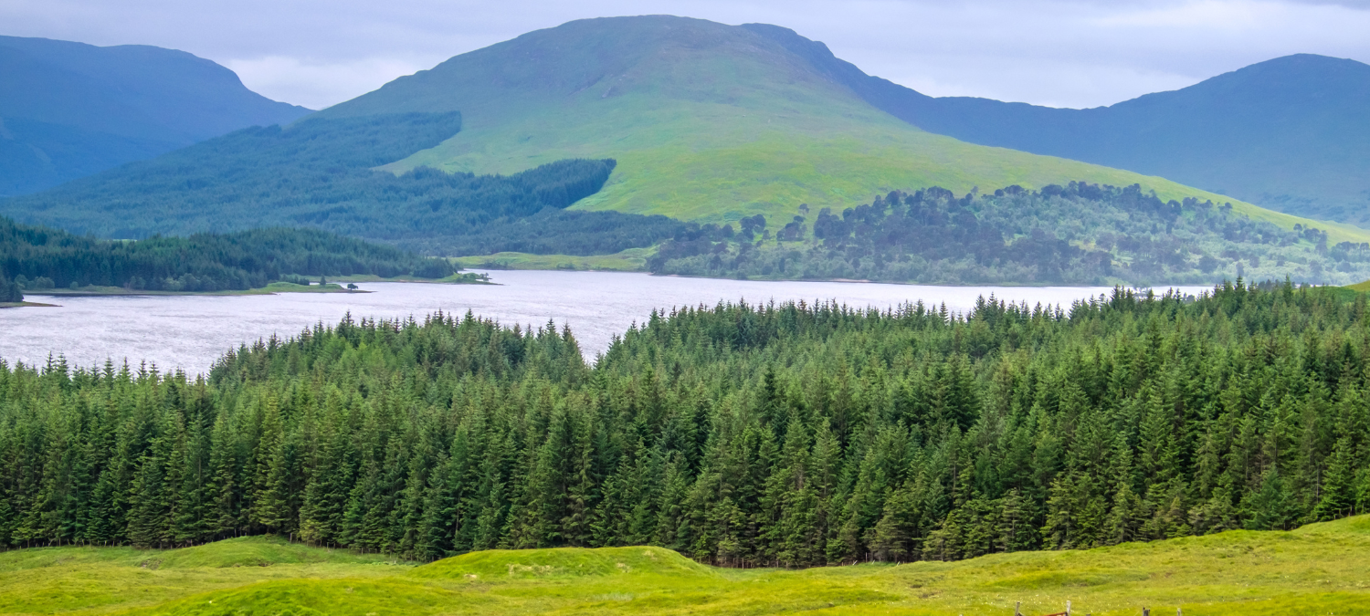 scottish countryside