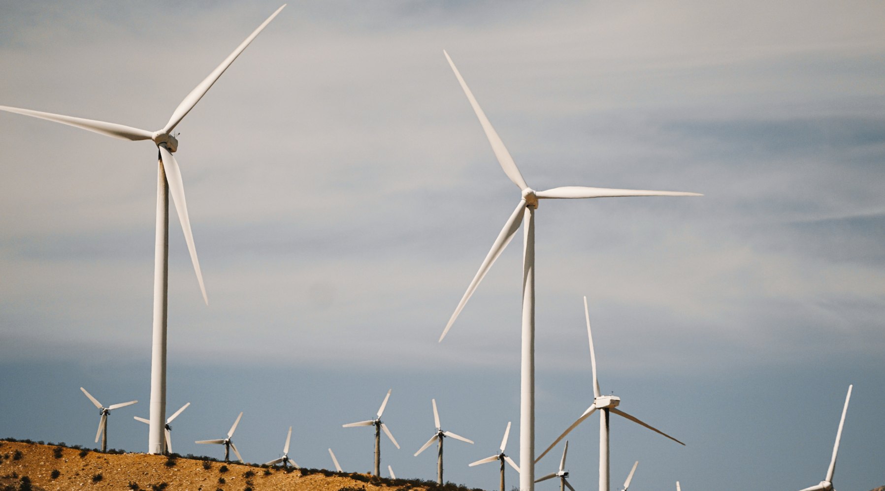 windfarm