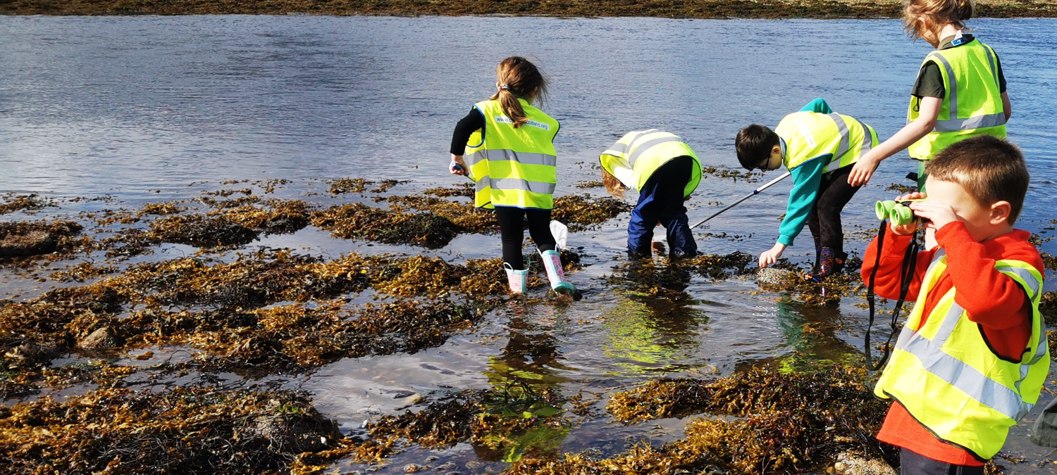 Out &amp; About Activities: Marybank Primary Parent Council