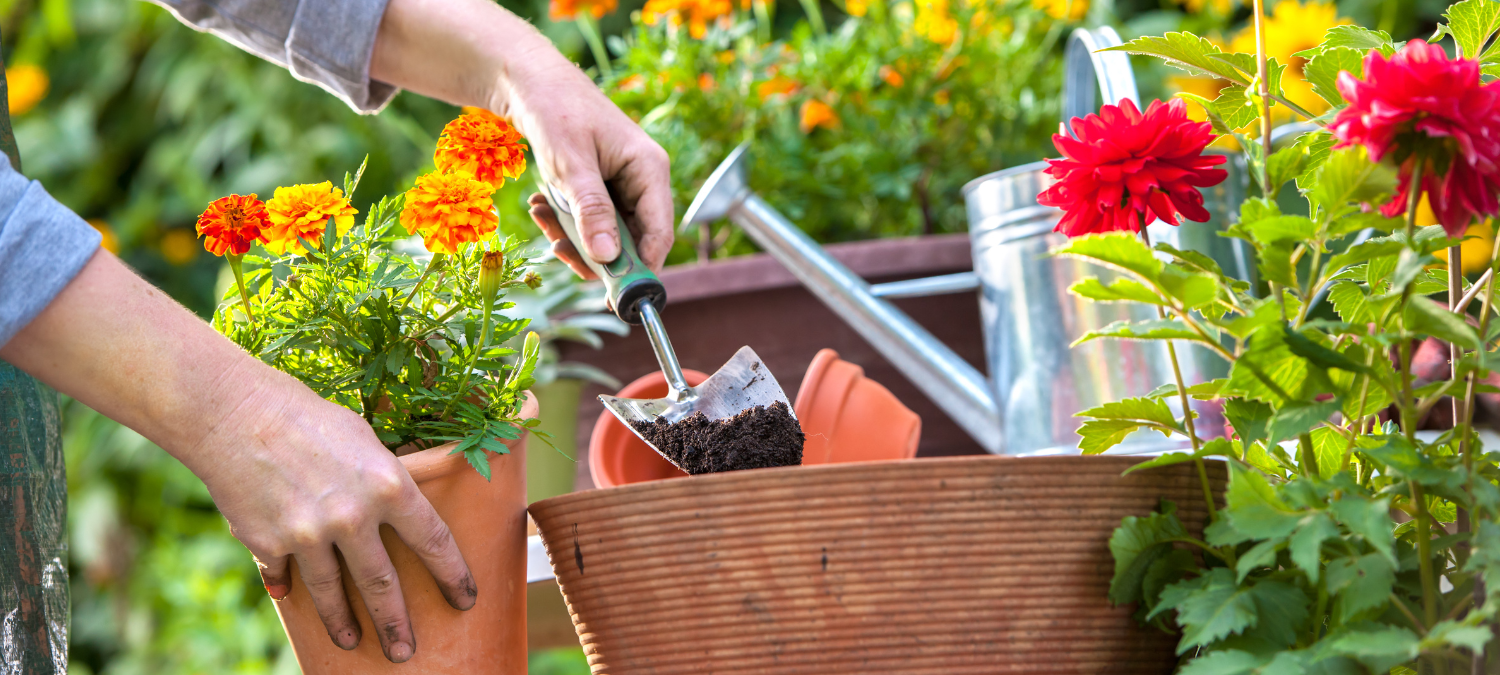 hands holding a pot near a watering can