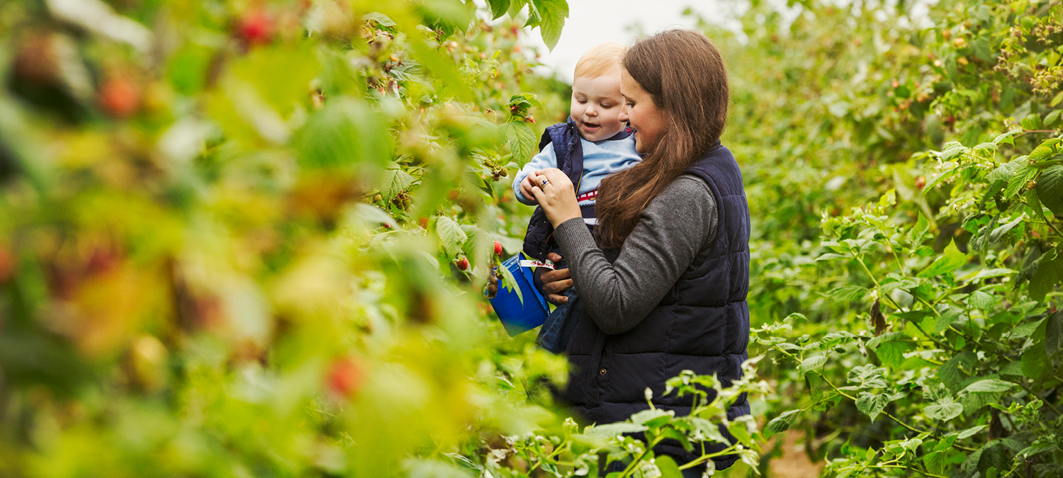 Cultivating Community and Sustainability in Lilliesleaf