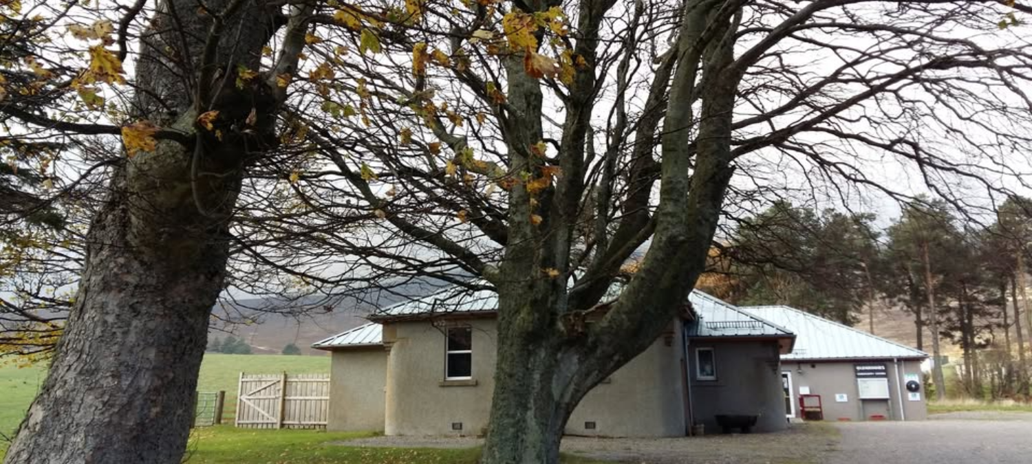 Building community capacity in Glenrinnes