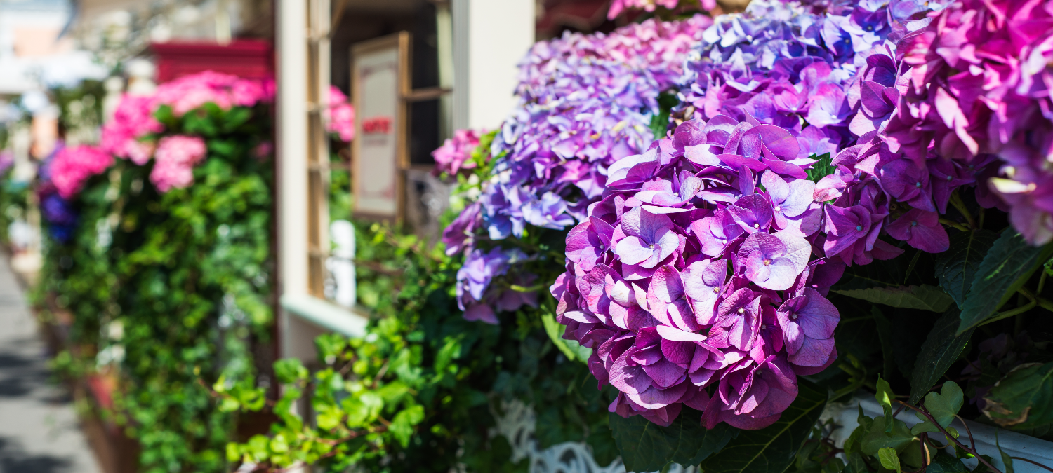 Eccles, Leitholm & Birgham celebrate first award from new community fund backed by Zenobē