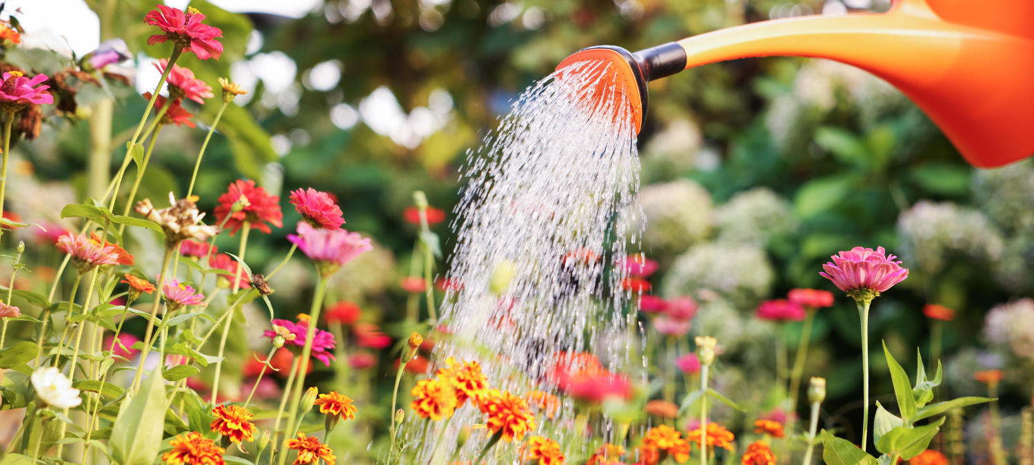 Providing a safe space for children and their families