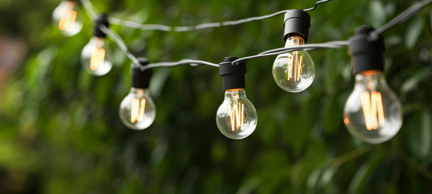 Lighting the Way at Lochore Meadows