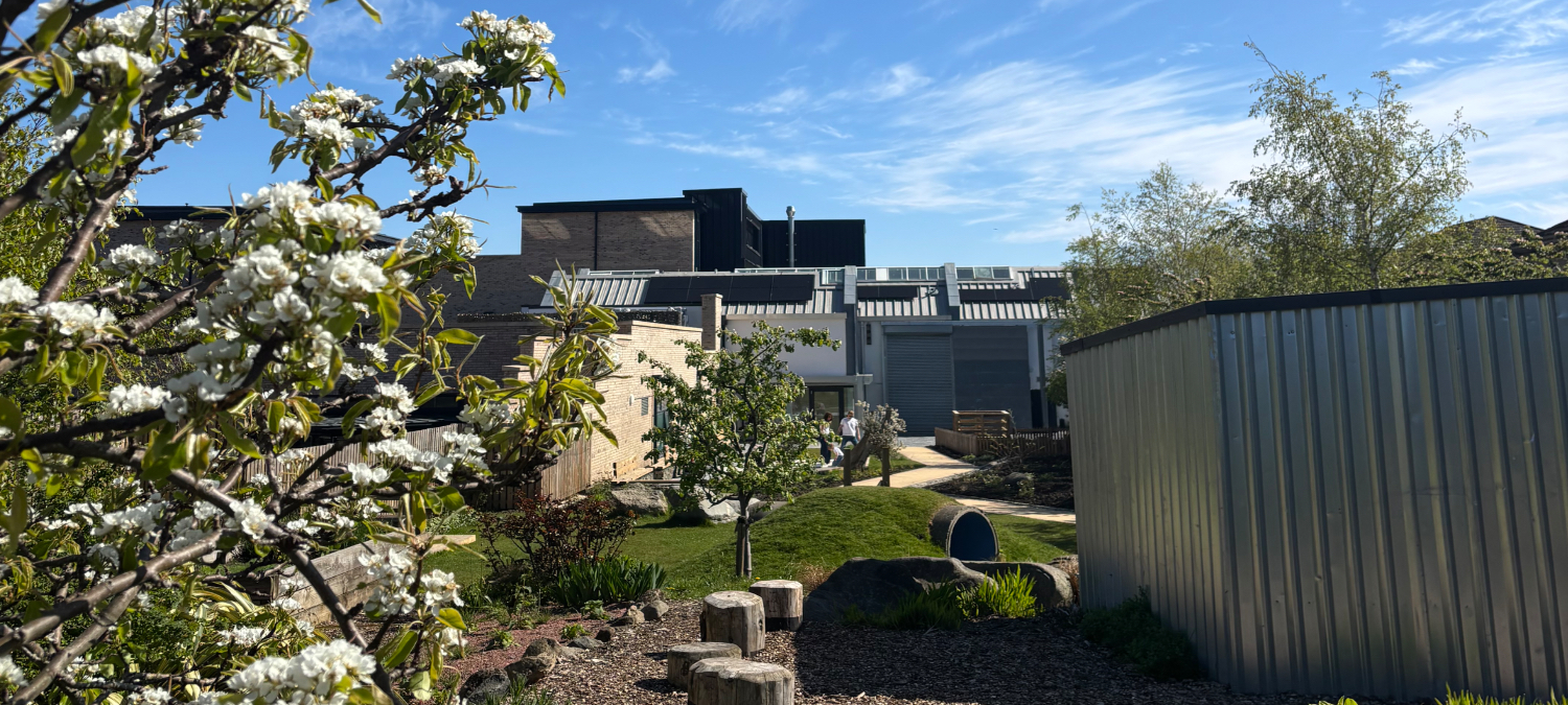 Social Investment in action: A flourishing first year for North Edinburgh Arts' new hub