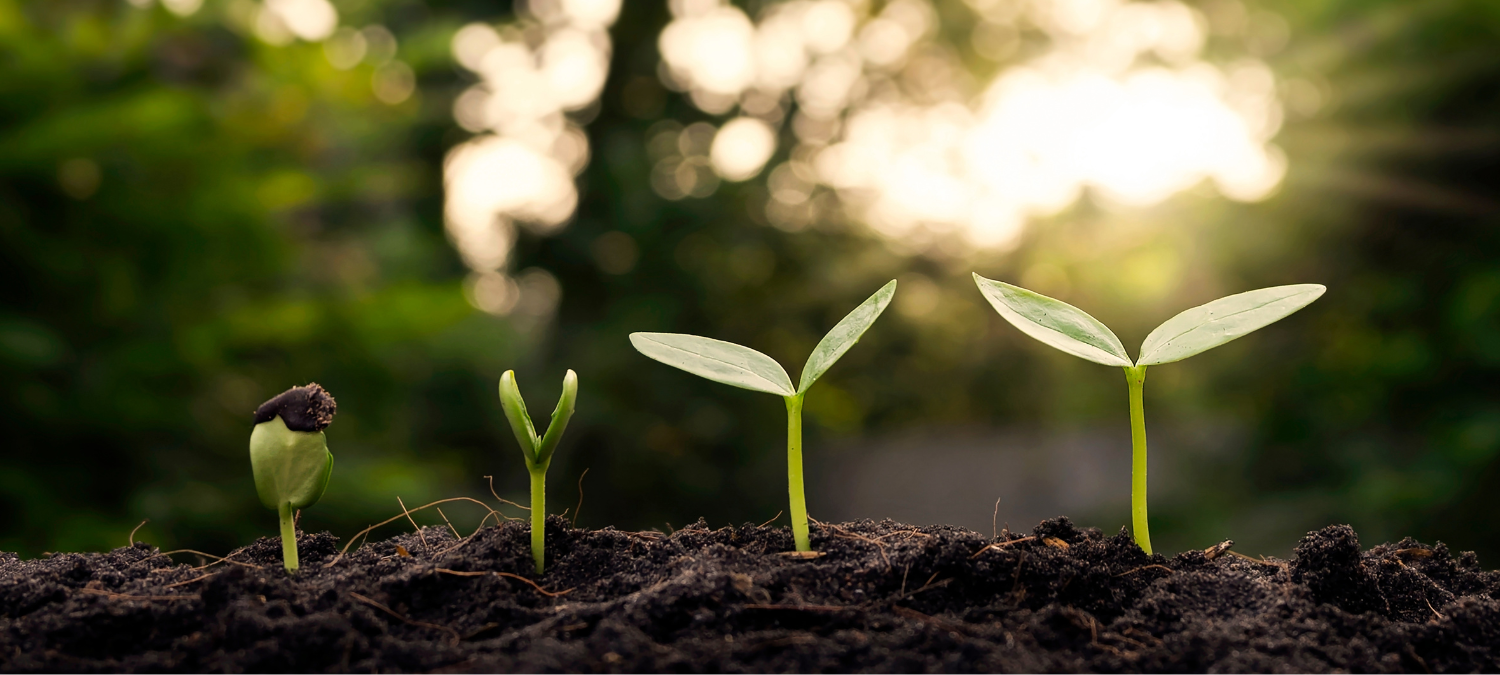 The Essentia Foundation continues its grantmaking legacy 