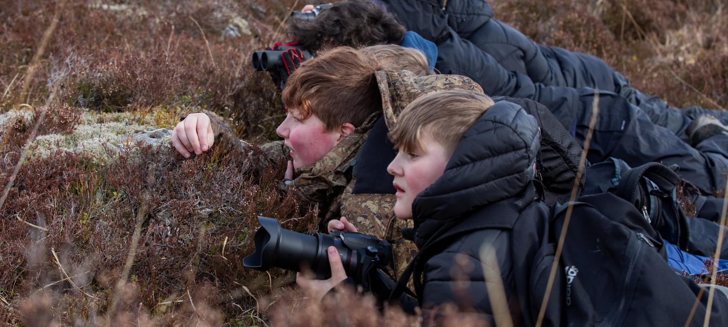 Rewilding Affric Highlands – Learning from hill to grill