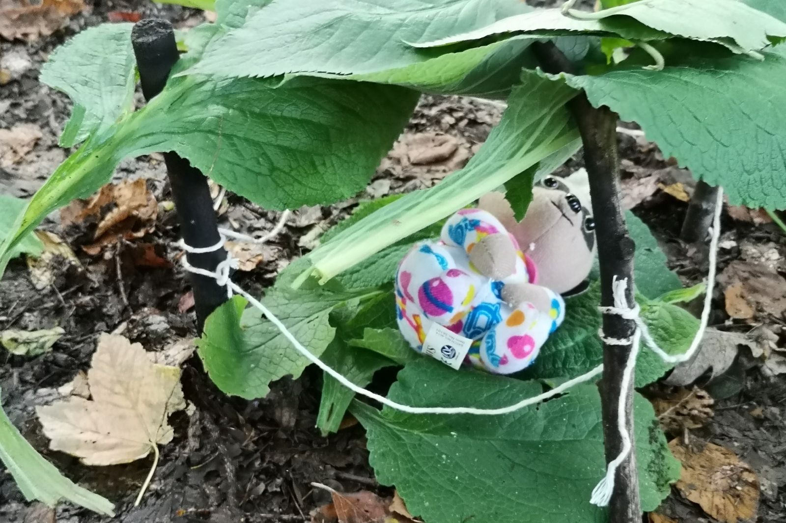 shelter built with twigs and leaves with teddy underneath