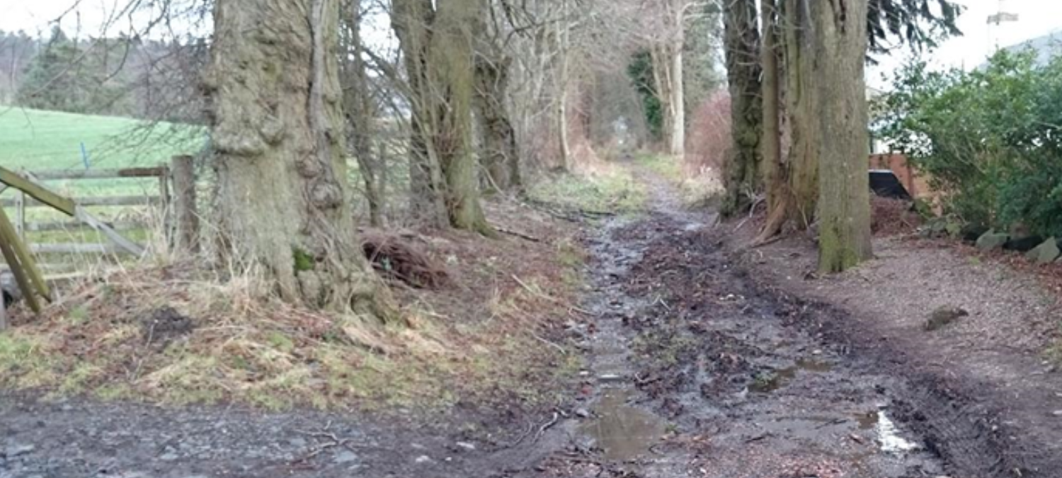 a woodland path before it got upgraded