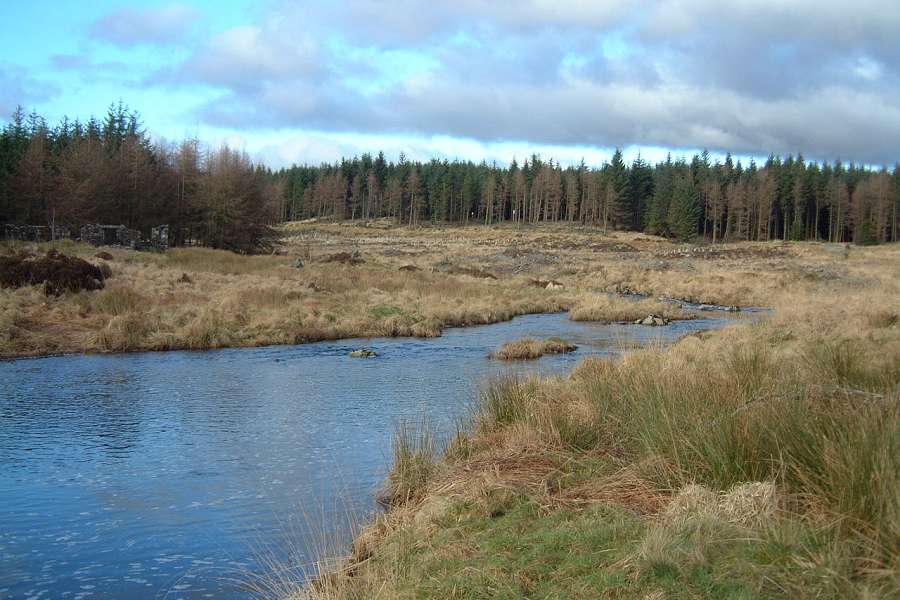 River flowing through marsh